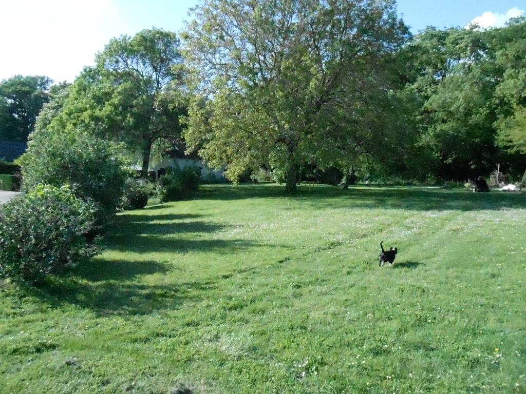 B&B La Ferme Des Bordes Pontlevoy Luaran gambar