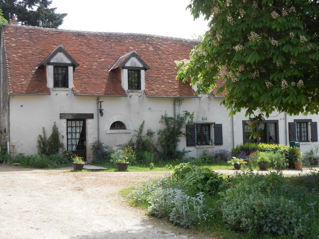 B&B La Ferme Des Bordes Pontlevoy Luaran gambar